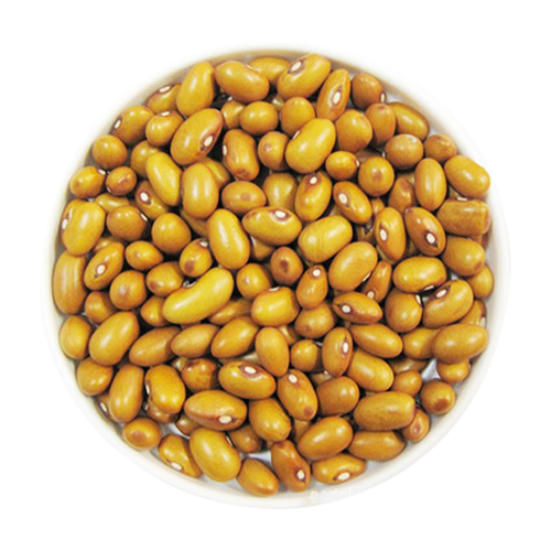 Yellow Peyin Beans